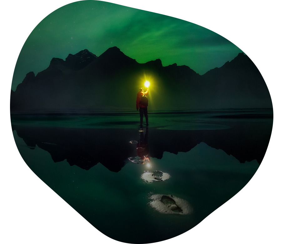 Shape_Bravx-Portal